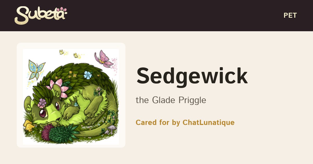 Pet Info - Subeta