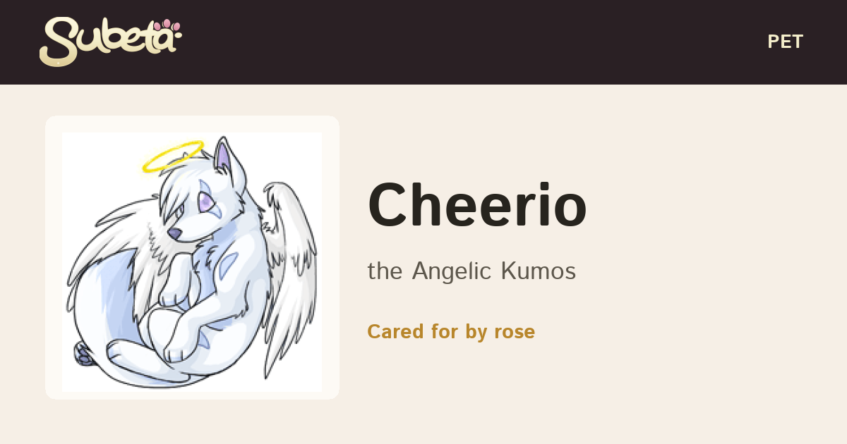 Pet Info - Subeta